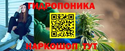 соль ск Партизанск