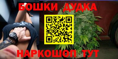 соль ск Партизанск