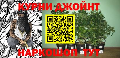 соль ск Партизанск