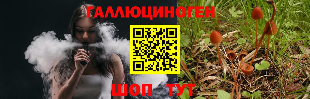 Нижний Тагил  Псилоцибиновые грибы Psilocybine cubensis  Вход с VPN 